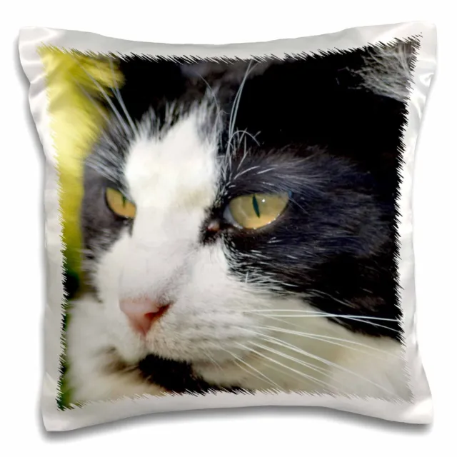 3dRose Profile of Black and White Cat 16x16 inch Pillow Case