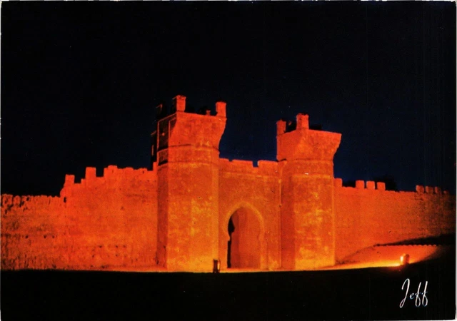CPM AK Rabat- Le Chellah MAROC (880721)