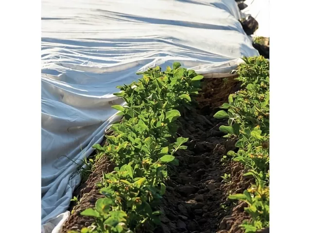 Toalla Anticongelante En Tela No Tela Para Semillas Y Plantas Rollos De 250M 3