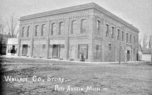 Wallace County Store Port Austin Michigan MI Reprint Postcard