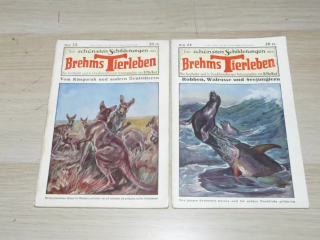 DIE SCHÖNSTEN SCHILDERUNGEN AUS BREHMS TIERLEBEN 23 & 24, Original-Hefte 1930er