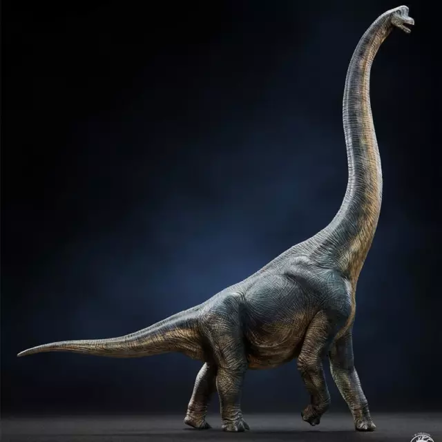 W-Dragon 1/35 Giraffatitan Brachiosaurus Sauropoda Dinosaur Collector Figure Toy