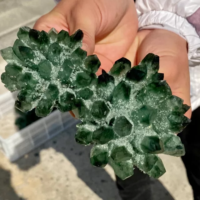 1.13LB New Find Green Phantom Quartz Crystal Cluster Mineral Specimen Healing