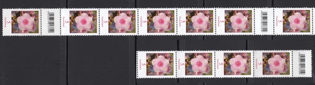 Bund 3296 mit 3 EAN-Codes RM RE 11er Streifen 500er Rolle Phlox 5 C postfrisch