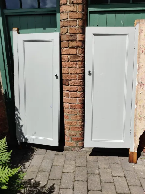Reclaimed Pair of Victorian Cupboard Doors 3