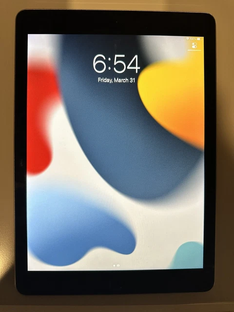 Apple iPad Pro 1st Gen. 32GB, Wi-Fi, 9.7 in - Space Gray