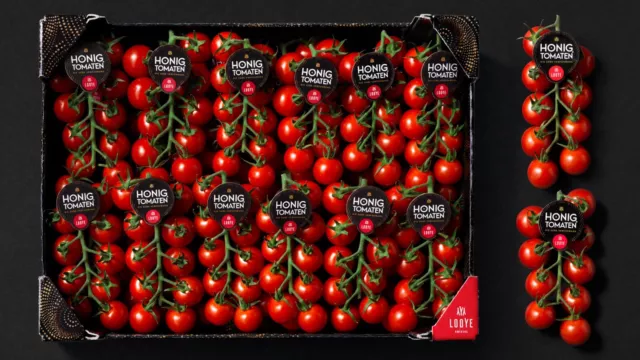 Honig Cocktailtomaten 3 kg Karton