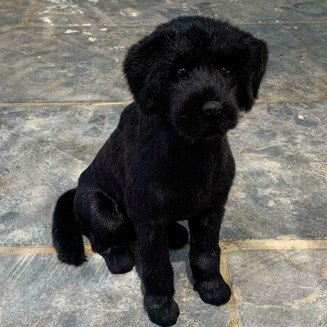 WEVENI Orecchini Pendente Cane Bassotto In Lega Oro E Argento, Gioielli Animali Ipoallergenici Per Donna