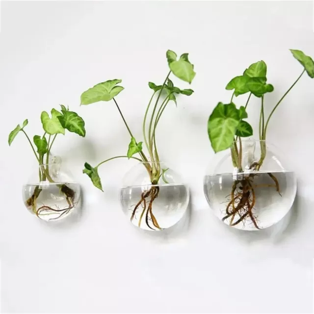 10cm Hydroponic Glass Flower Vase Thick Plant Bottles Creativity Flower Pot