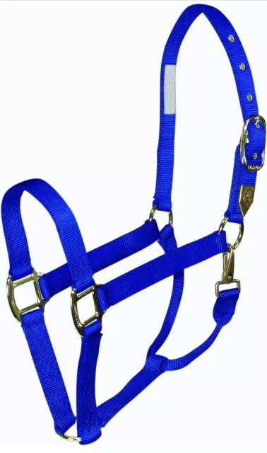 Halter DRAFT Horse Size Blue Nylon HAMILTON Made in USA *NEW* 2