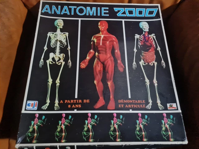 CEJI JEU ÉDUCATIF Anatomie 2000 Vintage Années 70