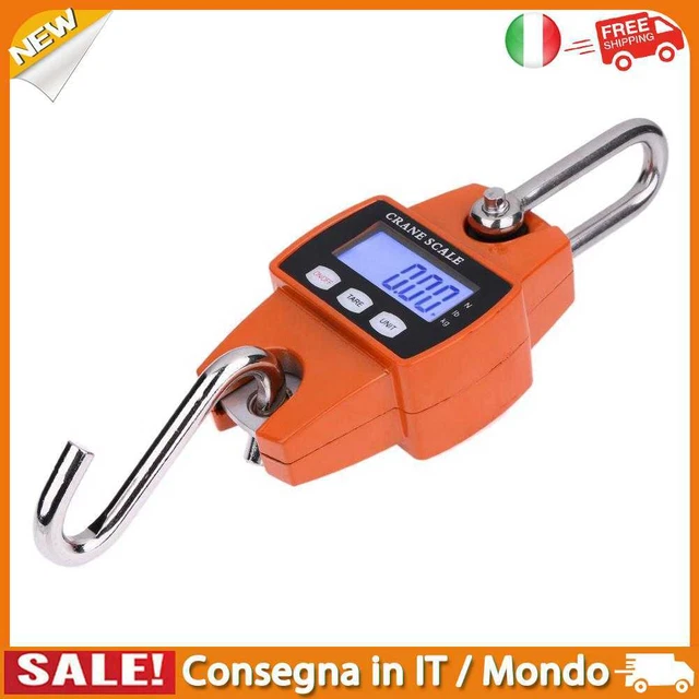 IT Mini Crane Scale Portable LCD Digital Electronic Hook Hanging Weight 300kg