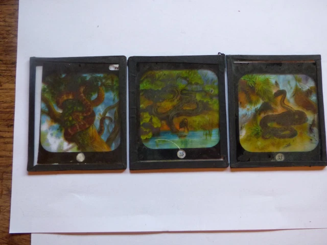 Lot De 6 Plaques De Verre Pour Lanterne Magique, Thème Le Petit Chaperon Rouge (occasion)