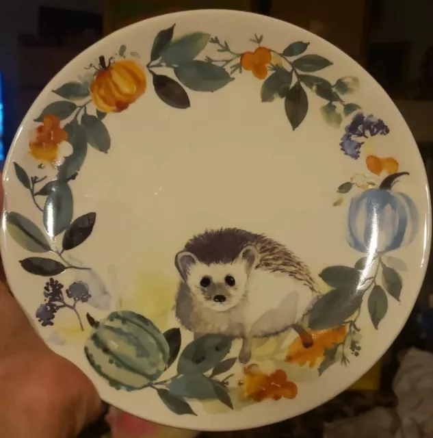 Transpac Everyday Is A Holiday WATERCOLOR HARVEST HEDGEHOG Plate 8.5"