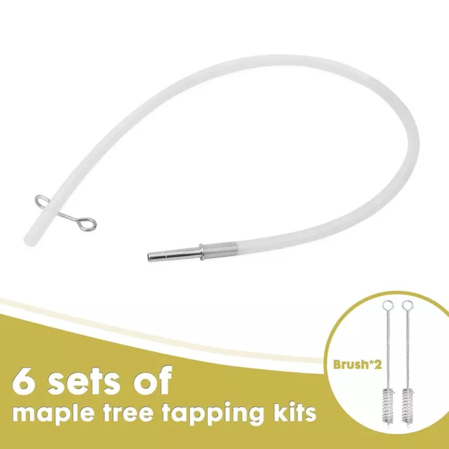 Maple Syrup Tapping Kit Stainless Steel Maple Tree Taps Spiles for Making Maple