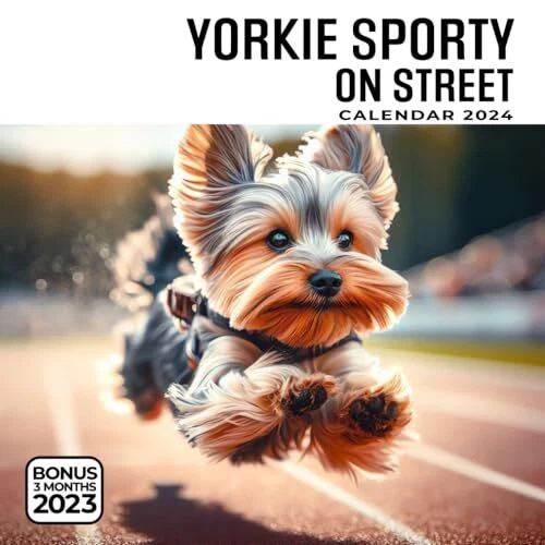 YORKIE SPORTY ON Street Calendar 2024 Jan 2024 to Dec 2024 Bonus 3