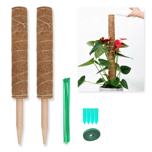 Pflanzstab Kokos Moosstab Rankhilfe 40cm Rankstab Ø 4.8cm Kletterhilfe 2er Set