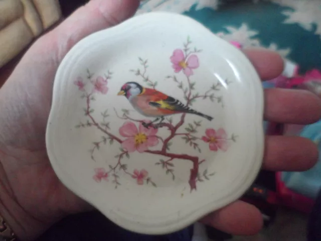 Small Vintage Trinket Dish  Floral Bird Chaffinch ?  Royal Worcester Company