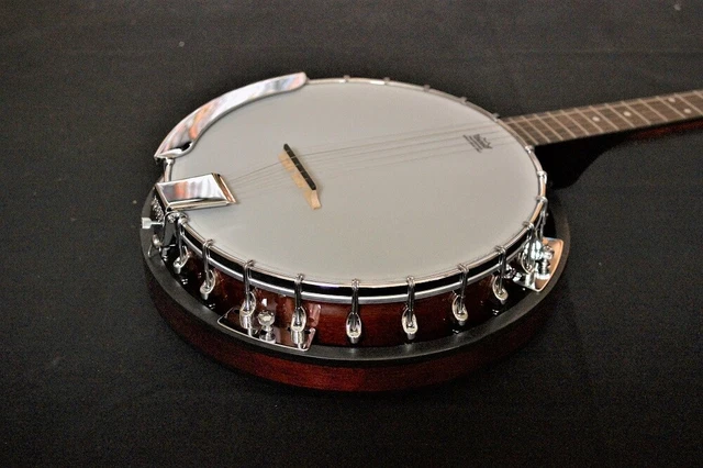 Delta Blue 24 Lug Closed back Banjo (DBJ25)