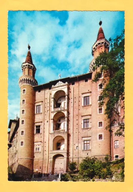 Cartolina Urbino Palazzo Ducale   non viaggiata