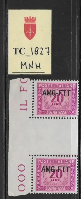 TC_1827. TRIESTE FTT. Gutter pairs of 20 Lire 1949 "SEGNATASSE". MNH