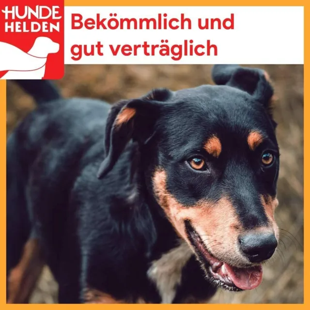Getrocknete Kalbshufe für Hunde 25 Stück | Deutsche Herstellung Naturkauartikel 4