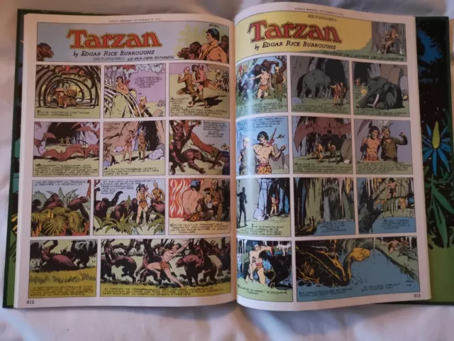 Eo L'integrale Tarzan - Hogarth - Ed.soleil - 1993 - Tome 8 - O477 3