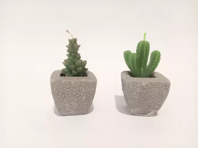 Candele  a forma di Cactus set da 2 candele dimensione candela  10 x 5 cm