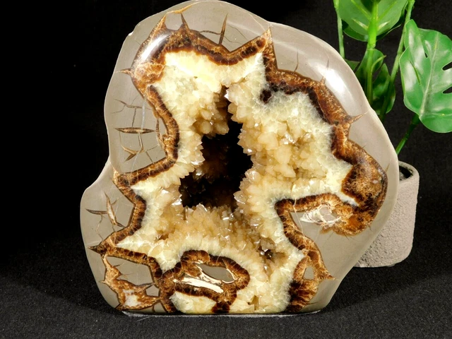 Huge! Free Form Polished AAA Septarian Crystal GEODE Sculpture! From Utah 2818gr