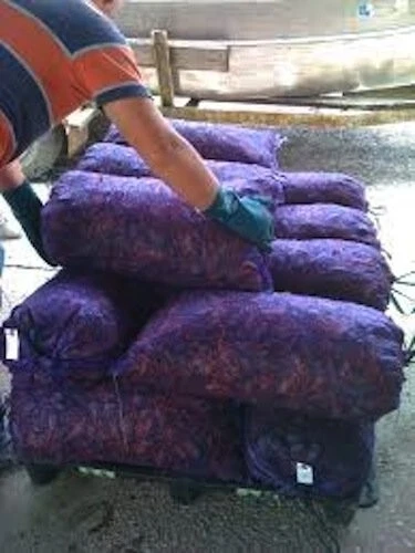 Mesh Leno Bags 15"x24" for Produce,Seafood, Lobsters,Clams,Crabs.Made in USA