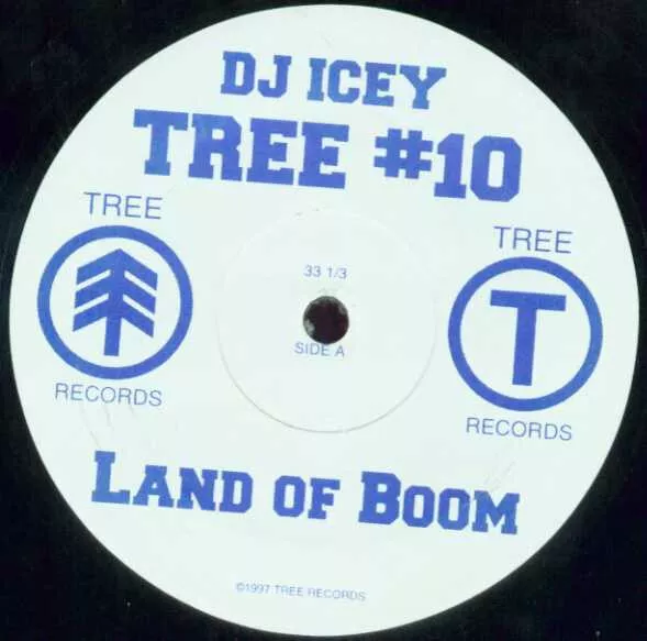 DJ Icey - Land Of Boom / As If (12 Zoll)