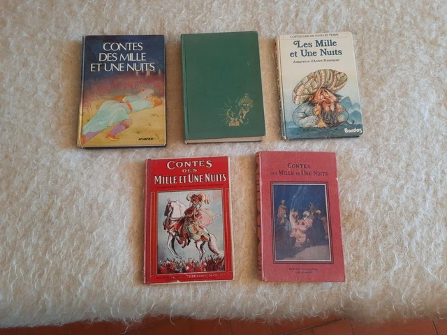 Lot de livres divers et livres illustrés (1carton et un lot) - Hôtel