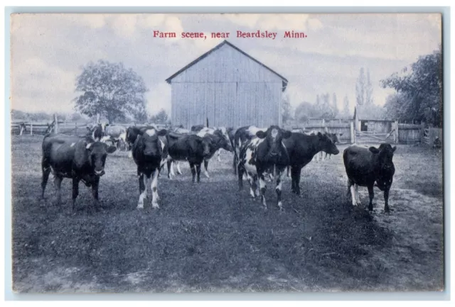 c1910 Farm Scene Near Beardsley Cow Herd Barn Minnesota Vintage Antique Postcard