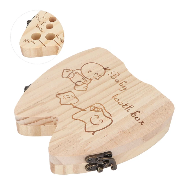 02 015 Teeth Storage Box Chemicals Free Memory Storage Longterm Storage