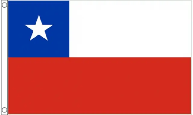 Chile Nacional Bandera Ataúd Cortina Con Speedy Despacho