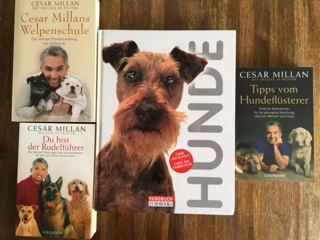 Bücherpaket Hundrassen und Hundeschule 3x Cesar Millan +1 *gut