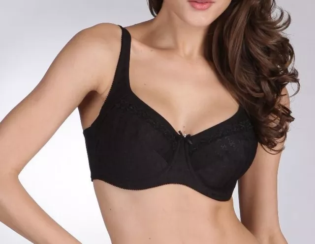 https://www.picclickimg.com/DPAAAOSw3ydVwgIg/Triumph-210-210-underwire-bra-size-12-14-16.webp