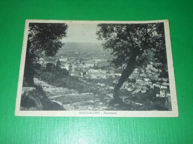 Cartolina Maddaloni ( Caserta ) - Panorama 1955.