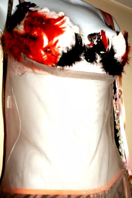 Ostrich Feathered Bra Set, Zebra Bottoms and Sheer Cover, 34C, S