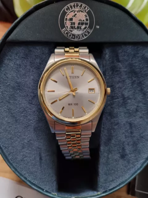Citizen eco drive wr100 silver and gold store