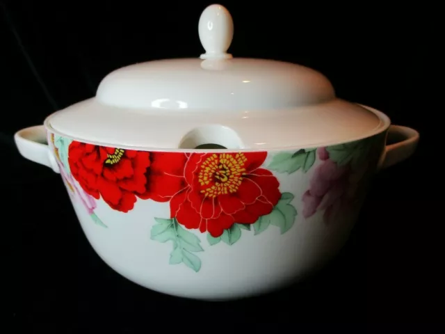 Sopa De Flores Rosa Roja Hutschenreuther Leonard Paris Hueso Escarlata China Tureen