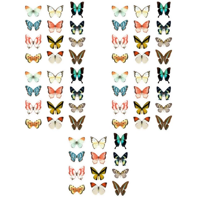 5 Set Bird Window Deflectors Anti-bird Stickers Window Decals Delicate