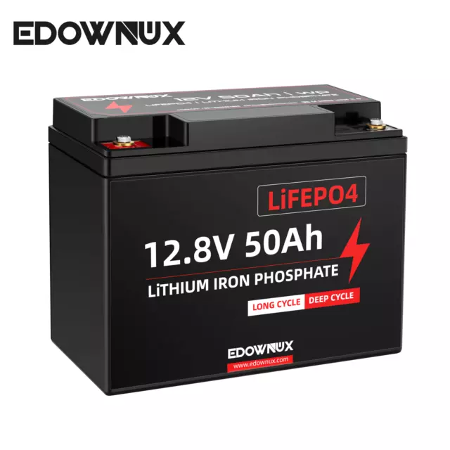 EDOWNUX Lithium Batterie 12V 50Ah mit BMS LiFePO4 Akku für Solar Off-Grid