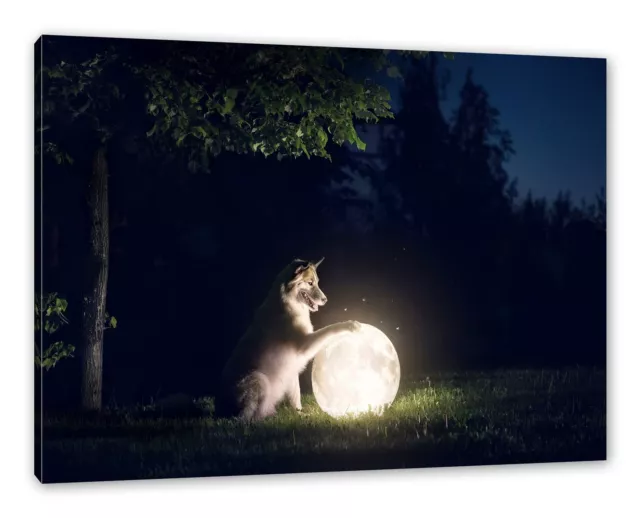 Perro Con Luminoso Luna por la Noche, Foto en Lienzo