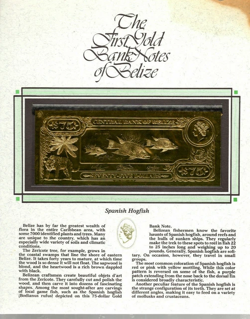 22kt Gold $75 Belize 1981 Banknote- SPANISH HOGFISH - RARE UNC Stain ON display