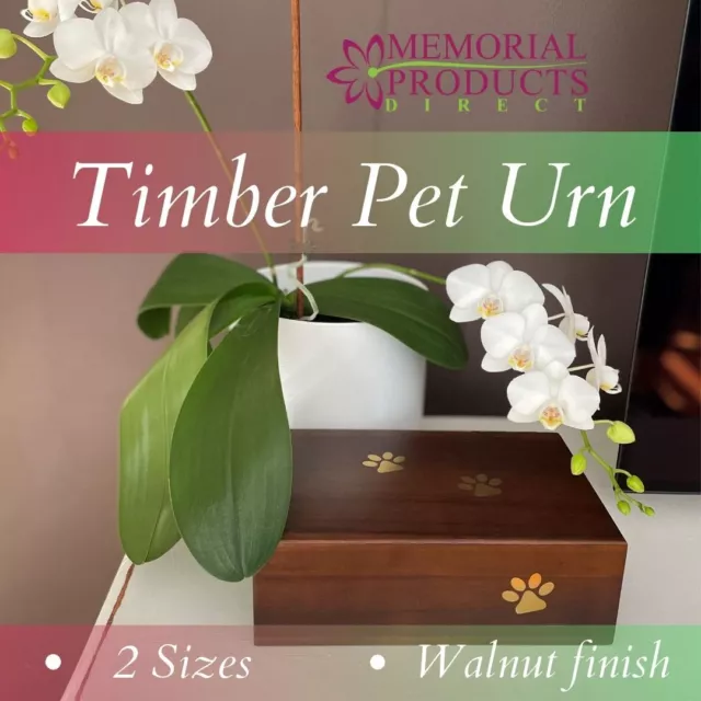 Timber Pet Urn With Brass Paws
