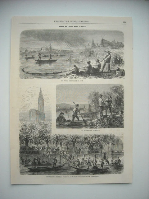 Gravure 1860. Peche De L’alose Dans Le Rhin. Marche Aux Poissons De Strasbourg..
