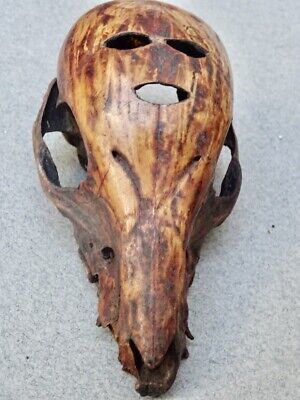 Skull Carved Timor Indonesiie 2
