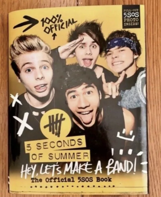 Hey Lets Make A Band! - 5SOS Biografie