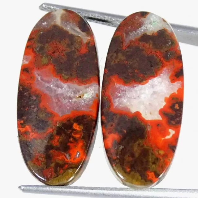 21.30Cts Natural Morocco Seam Agate Pair Oval Cabochon Loose Gemstones